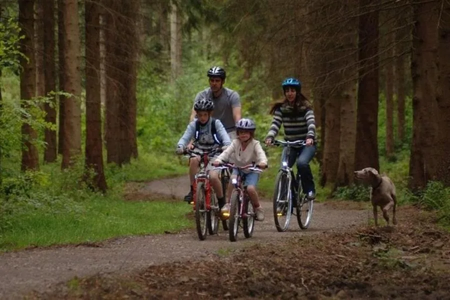 Sheffield Bike Adventure – Explore the City or Famous Landscapes – photo 2