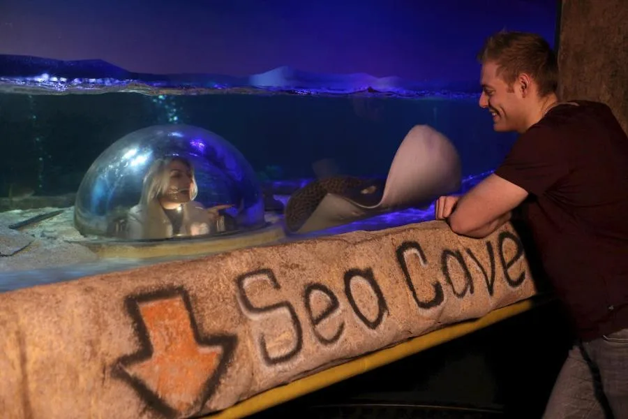 Admission to SEA LIFE Blackpool – photo 3