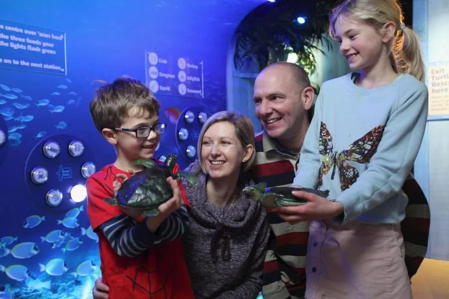 Admission to SEA LIFE Blackpool – photo 4