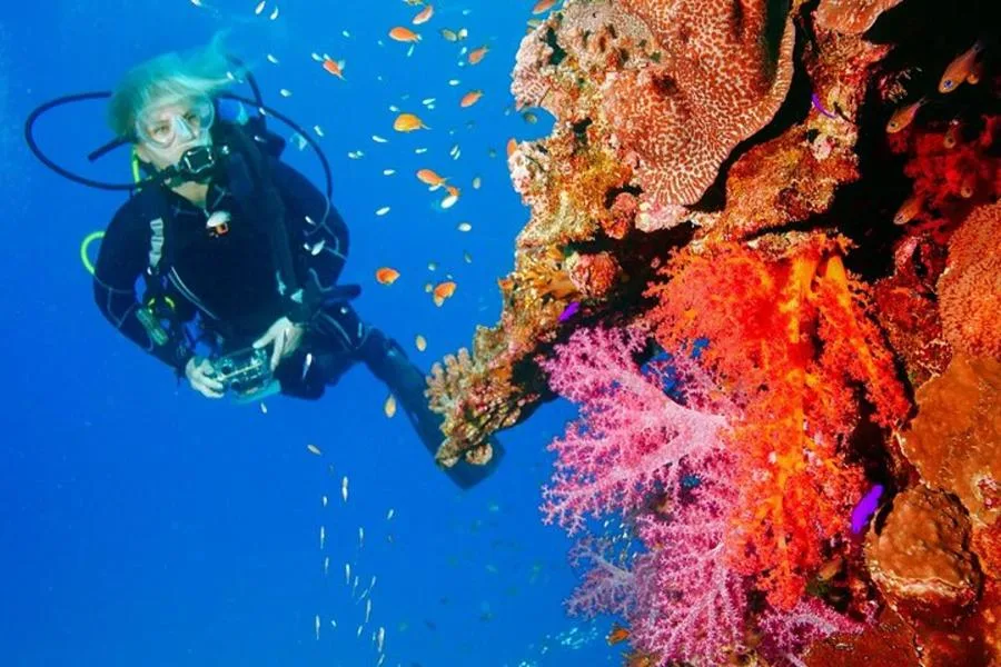 Antalya Dalış Turu: Konyaaltı’nda İki Dalış, Ekipman ve Otel Transferi – fotoğraf 2
