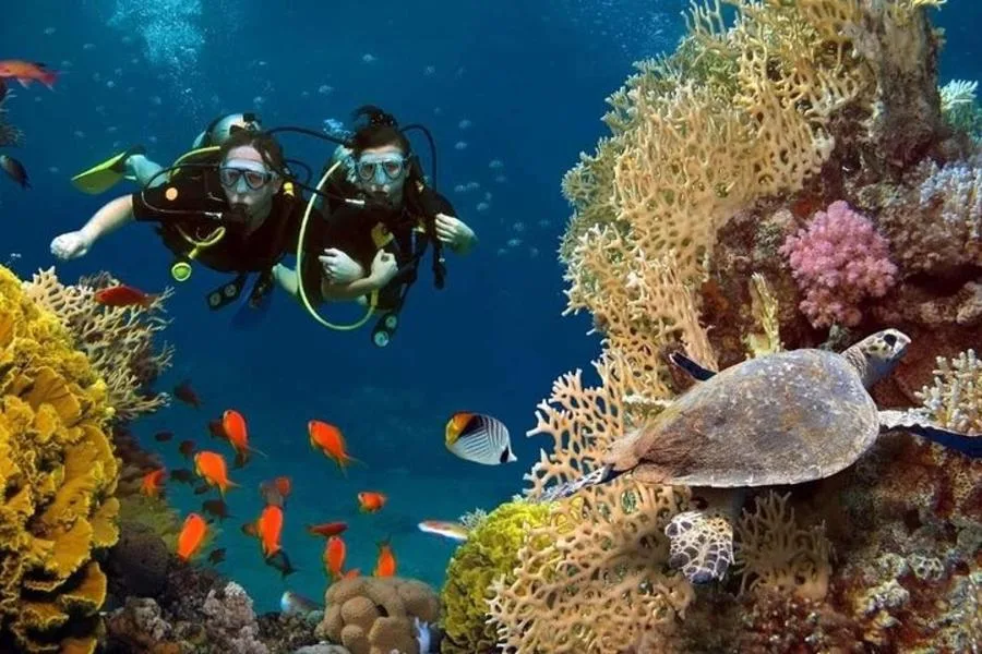 Antalya Dalış Turu: Konyaaltı’nda İki Dalış, Ekipman ve Otel Transferi – fotoğraf 4
