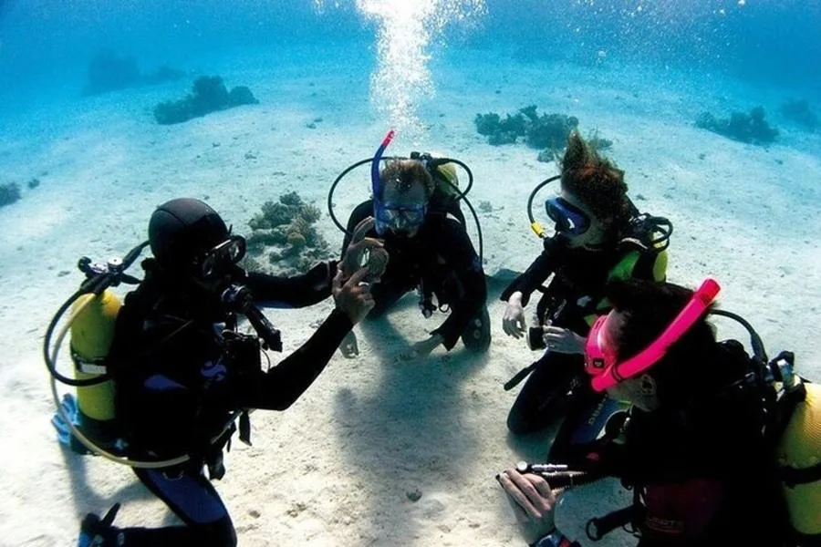 Antalya Dalış Turu: Konyaaltı’nda İki Dalış, Ekipman ve Otel Transferi – fotoğraf 5