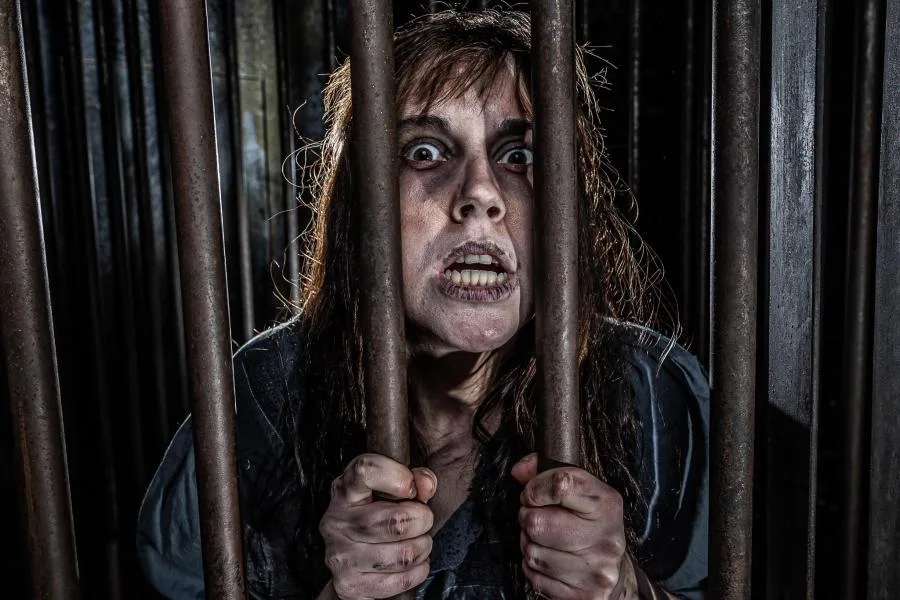 The York Dungeon Ticket – fotoğraf 1