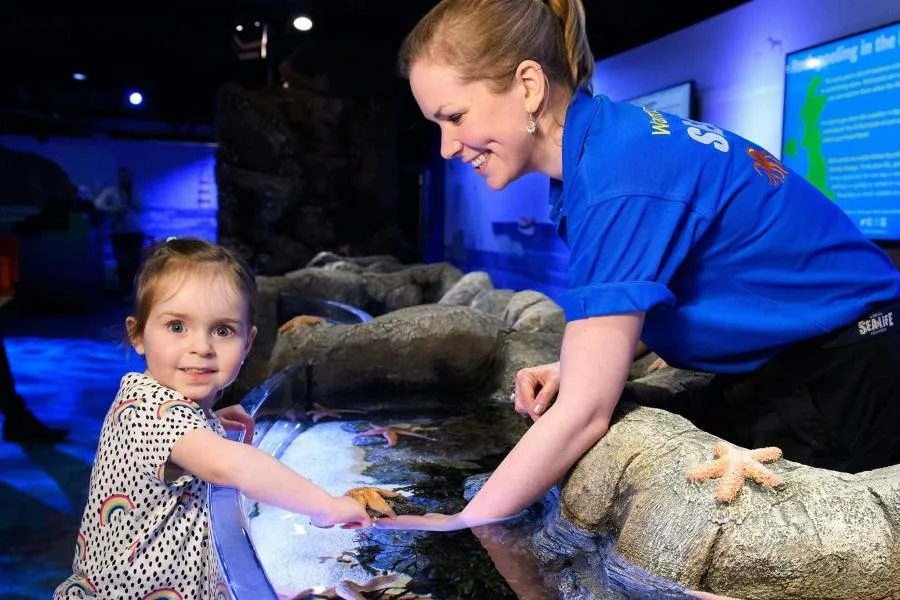 Sea Life Londra Akvaryumu Bileti: 12 Köpek Balığı Türü ve Sıra Beklemeden Giriş