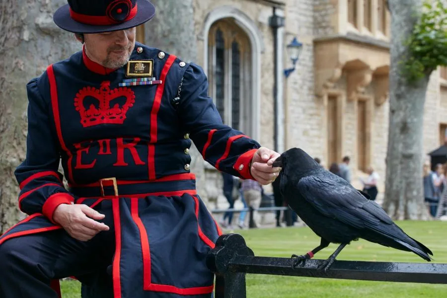 Londra Kulesi Bileti: Taç Mücevherleri, White Tower ve Line of Kings – fotoğraf 2
