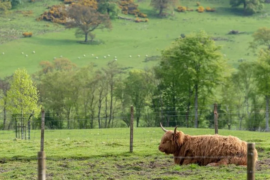 Loch Ness, Glencoe and The Scottish Highlands Tour from Edinburgh – photo 4