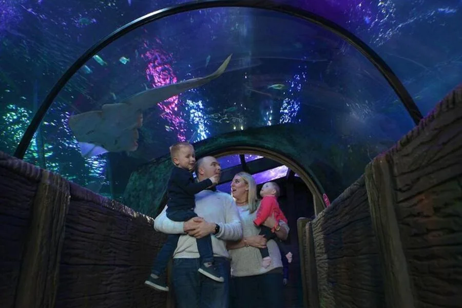 SEA LIFE Blackpool Admission Ticket – photo 2