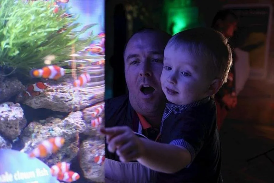 SEA LIFE Blackpool Admission Ticket – photo 3