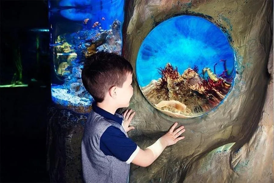 SEA LIFE Blackpool Admission Ticket – photo 5
