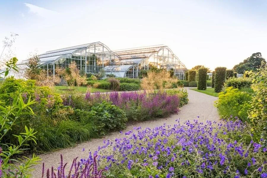 RHS Wisley Bahçesi Bileti: Hilltop Bilim Merkezi ve Tropikal Sera