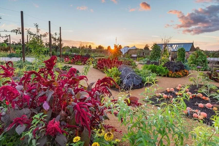 RHS Wisley Bahçesi Bileti: Hilltop Bilim Merkezi ve Tropikal Sera