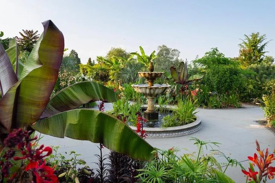 RHS Wisley Bahçesi Bileti: Hilltop Bilim Merkezi ve Tropikal Sera