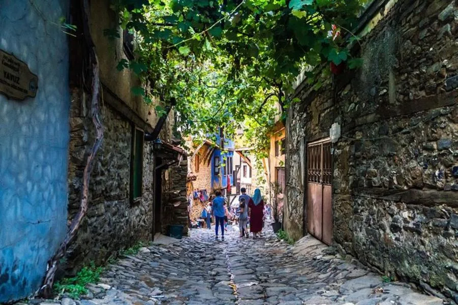 A Private Cultural Odyssey: Exploring the Heart of Busra – photo 3