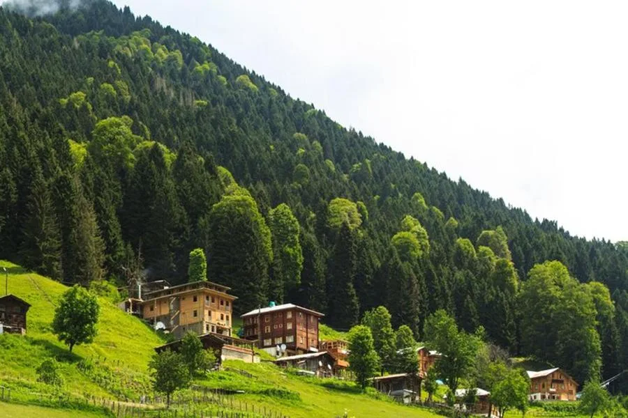 7 Days Turkiye and Georgia Tour Every Shade of Green – photo 2