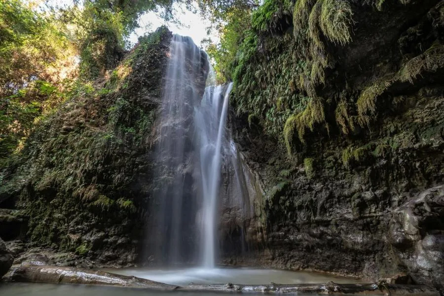 Likya Efsaneleri Turu + Tlos, Patara ve Öğle Yemeği – fotoğraf 4