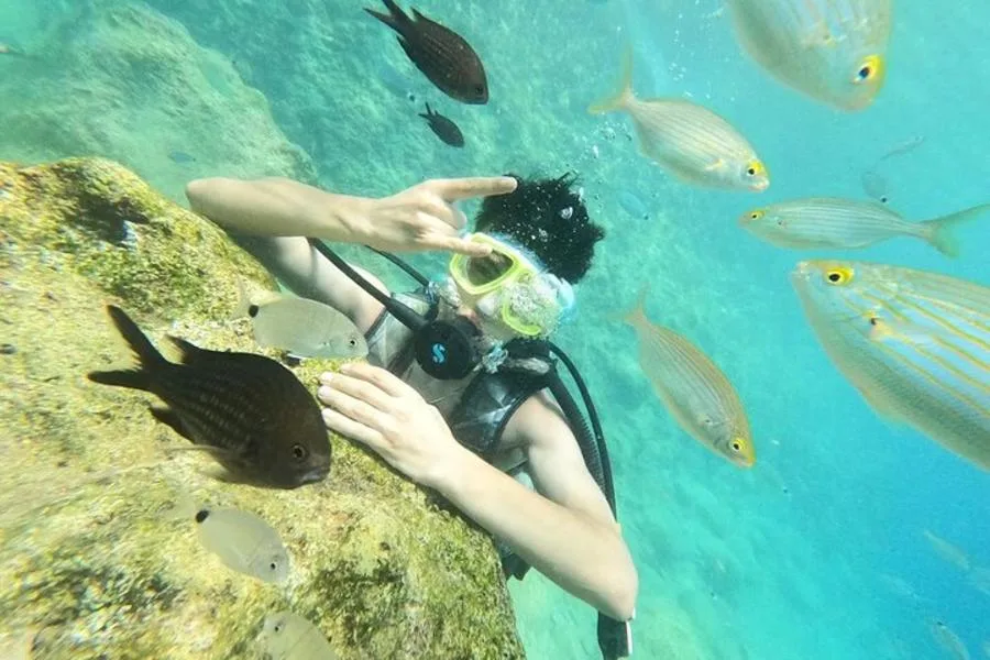 Alanya’da Öğle Yemeğiyle Tüplü Dalış Turu