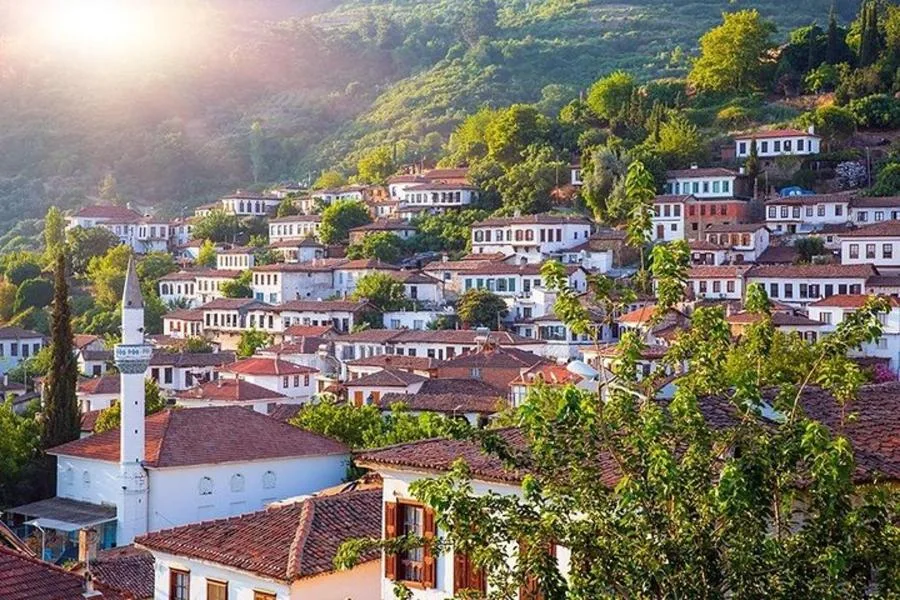 Ephesus Tour with Temple of Artemis and Sirince Village From Izmir – الصورة 4