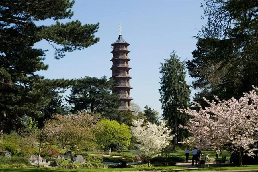 Kew Gardens Entrance Ticket: The UNESCO-Listed Royal Botanic Gardens – photo 2