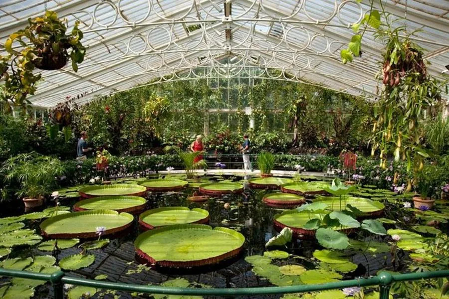 Kew Gardens Entrance Ticket: The UNESCO-Listed Royal Botanic Gardens – photo 3