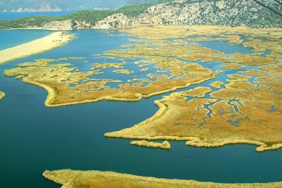 Dalyan Cruise, Turtle Beach and Mud Baths From Marmaris – الصورة 5