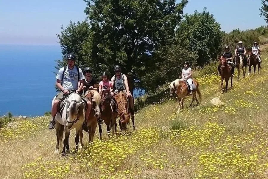 Fethiye At Binme Deneyimi – fotoğraf 2