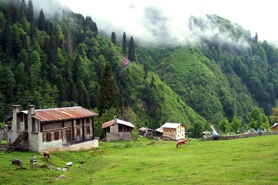 Ayder Tour with Fırtına Valley Adventure: Full-Day Experience – photo 5