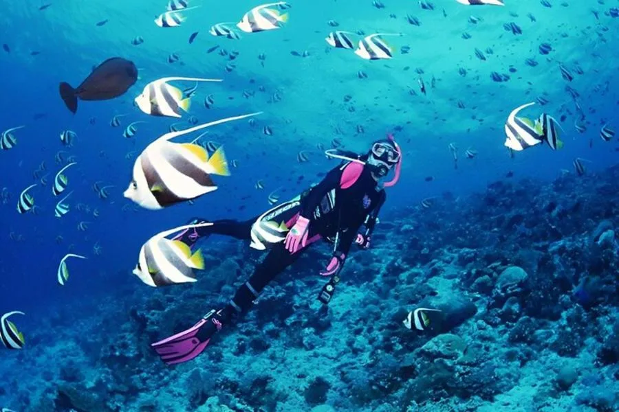 Antalya Tüplü Dalış: Akdeniz’in Su Altı Dünyasında Bir Gün