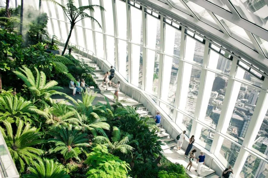 Sky Garden Erken Giriş Bileti: Pasta ve Sıcak İçecekle Kalabalıksız Sabah – fotoğraf 1