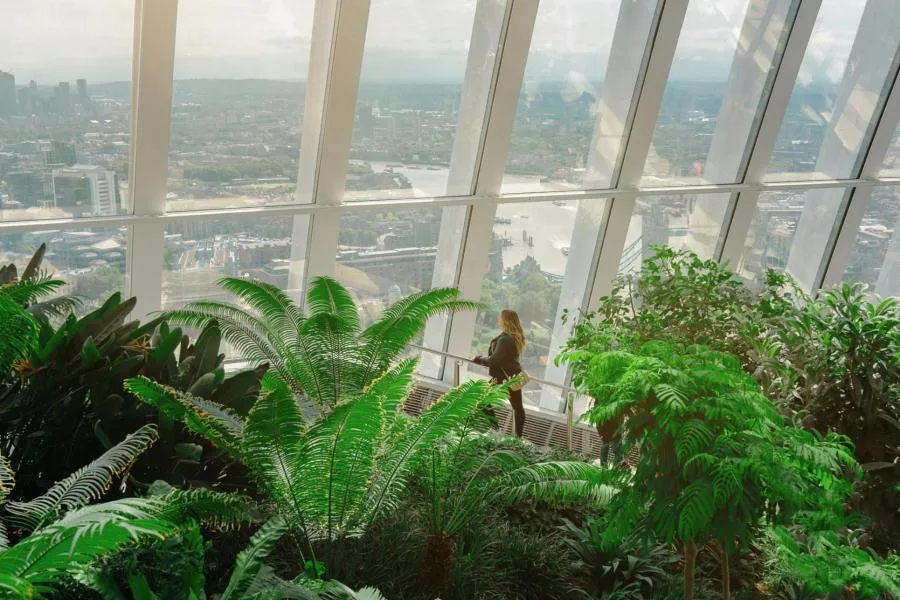 Sky Garden Erken Giriş Bileti: Pasta ve Sıcak İçecekle Kalabalıksız Sabah – fotoğraf 3