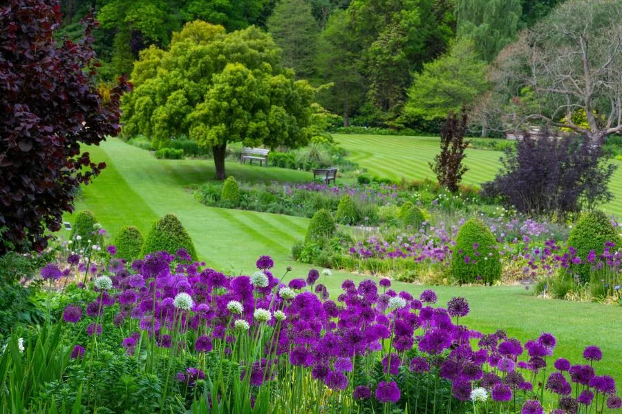 RHS Bahçe Harlow Carr – fotoğraf 1