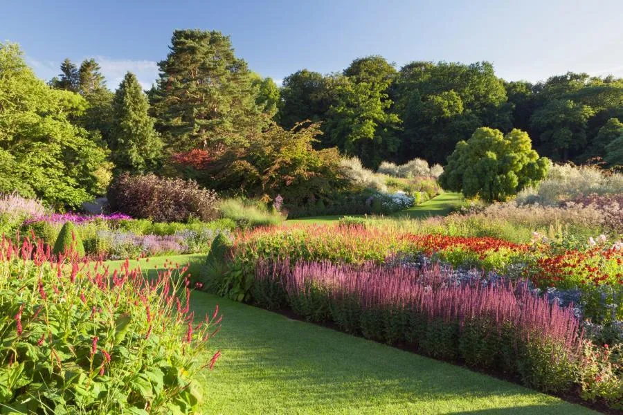 RHS Bahçe Harlow Carr – fotoğraf 4