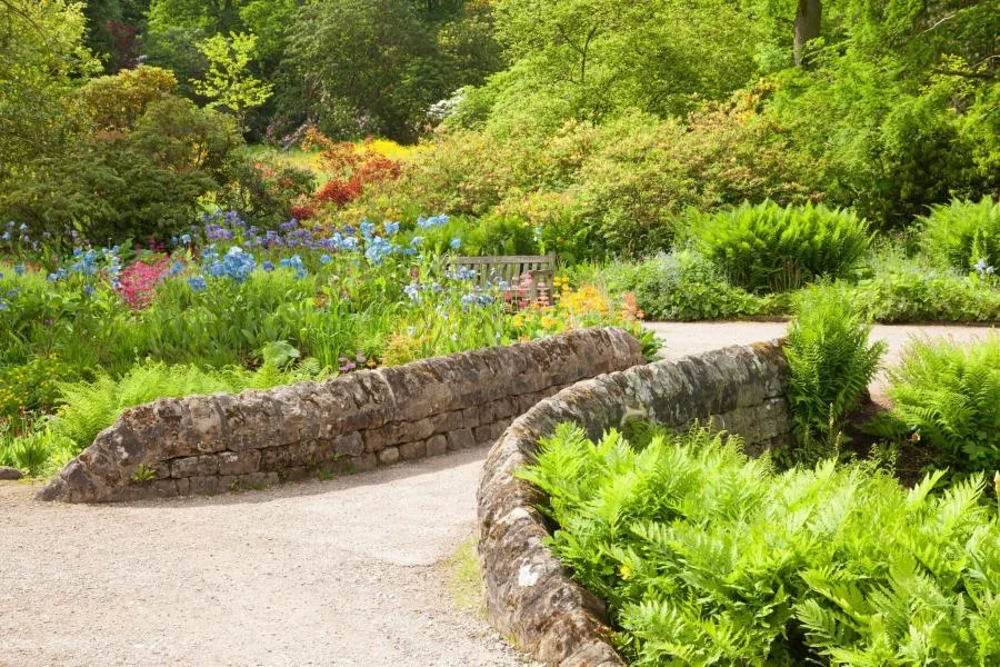 RHS Bahçe Harlow Carr – fotoğraf 5
