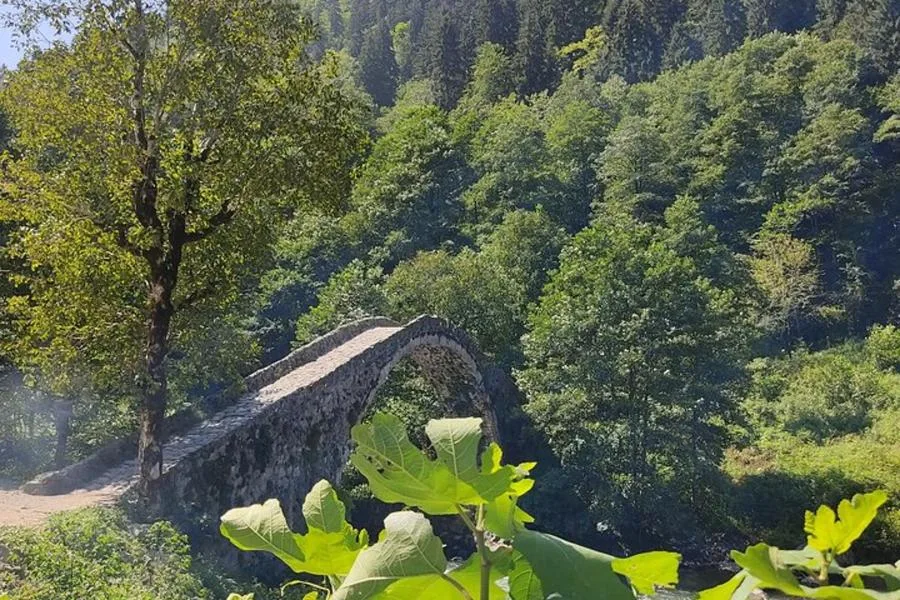 Private Ayder Tour with a Licensed Tour Guide – photo 3