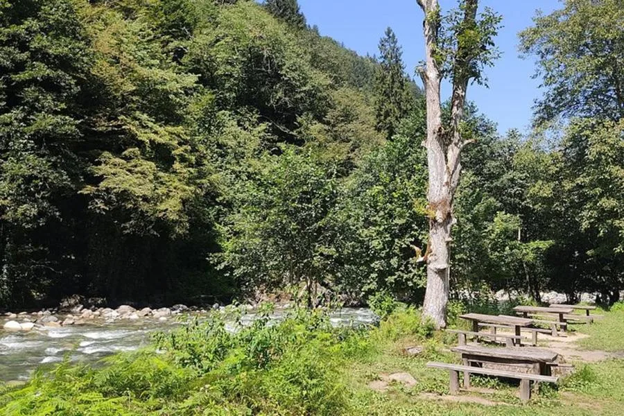 Private Ayder Tour with a Licensed Tour Guide – photo 4