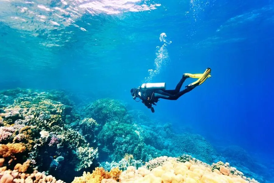Fethiye Tüplü Dalış Deneyimi – fotoğraf 1