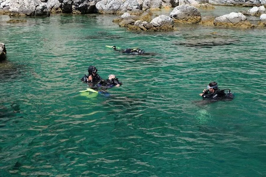 Fethiye Tüplü Dalış Deneyimi – fotoğraf 4