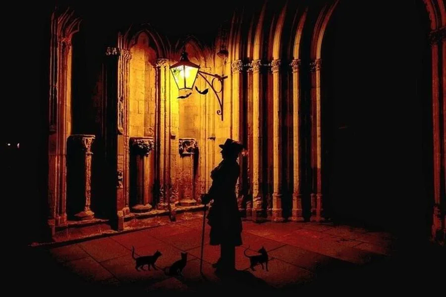Shadows of York: Ghost Walk and Horrible History. – الصورة 2
