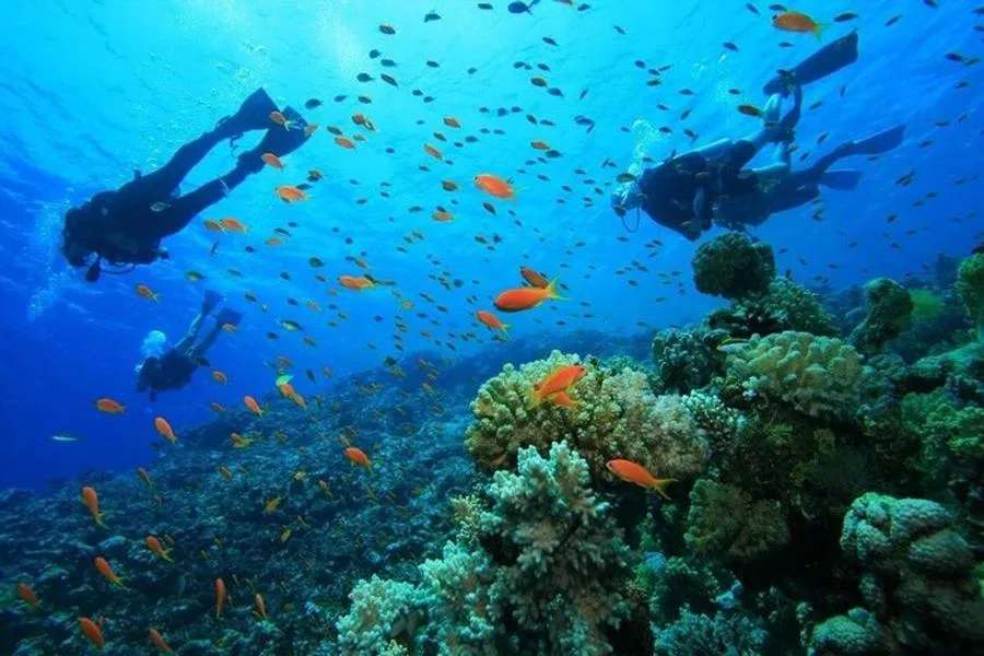 Side’de Tüplü Dalış ve Şnorkelli Yüzme Gezisi – fotoğraf 3
