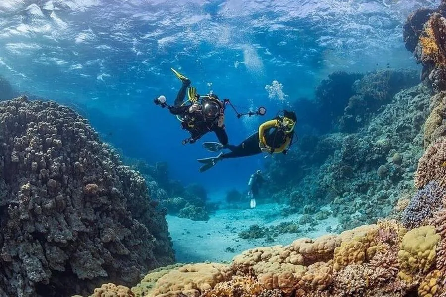 Side’de Tüplü Dalış ve Şnorkelli Yüzme Gezisi – fotoğraf 5