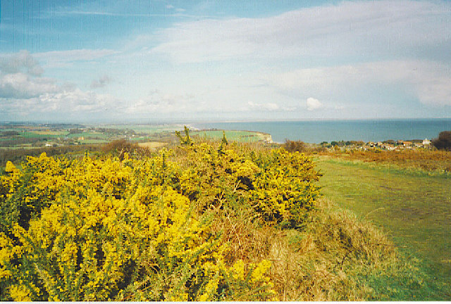 Fairlight