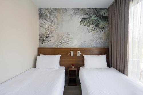 Standard Suite