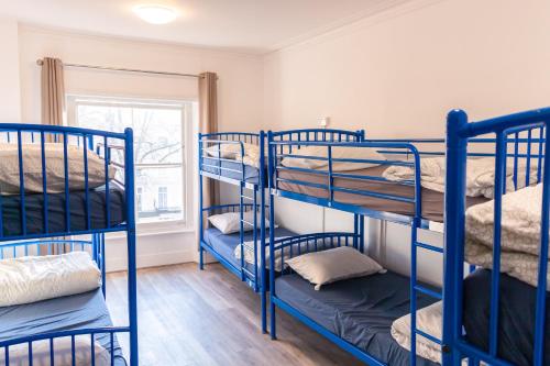 8-bed mixed dormitory, 1 bed