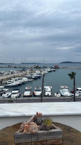 Çift Kişilik Oda - Deniz Manzaralı
