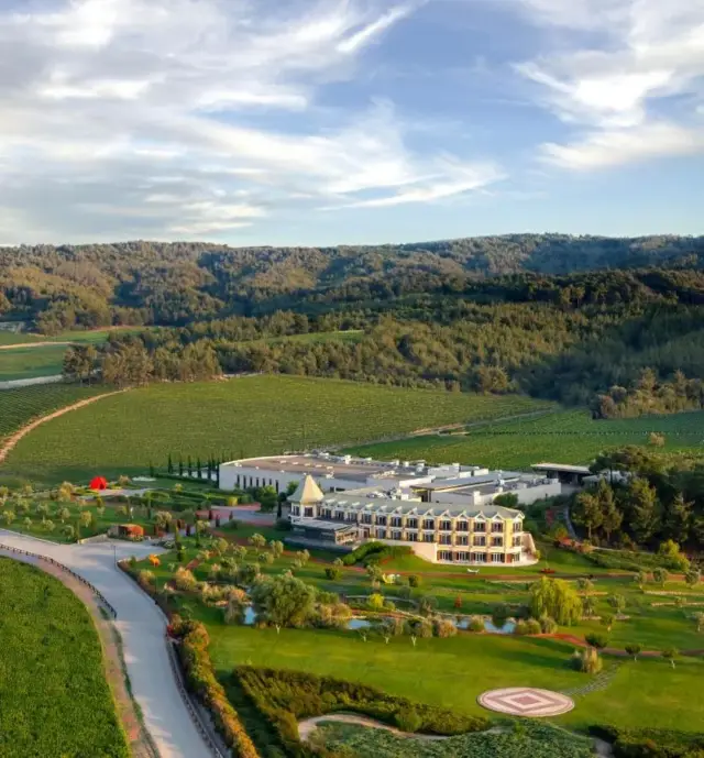 Hotel Caeli