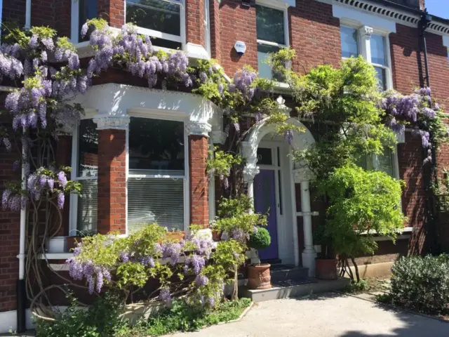 The Lilac Door