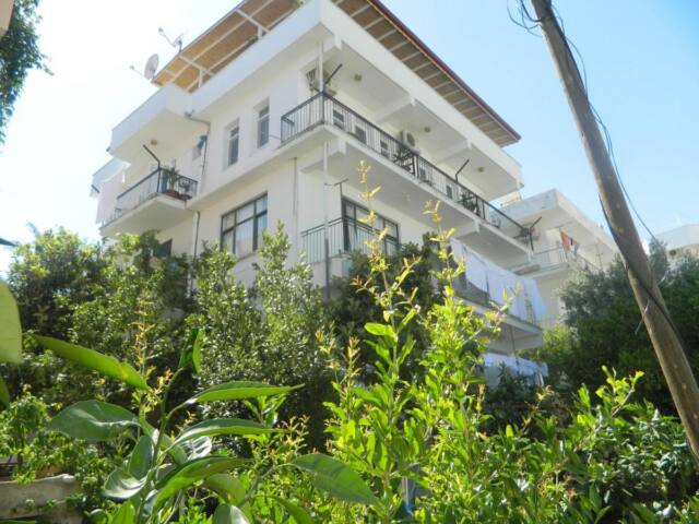 Standart oda