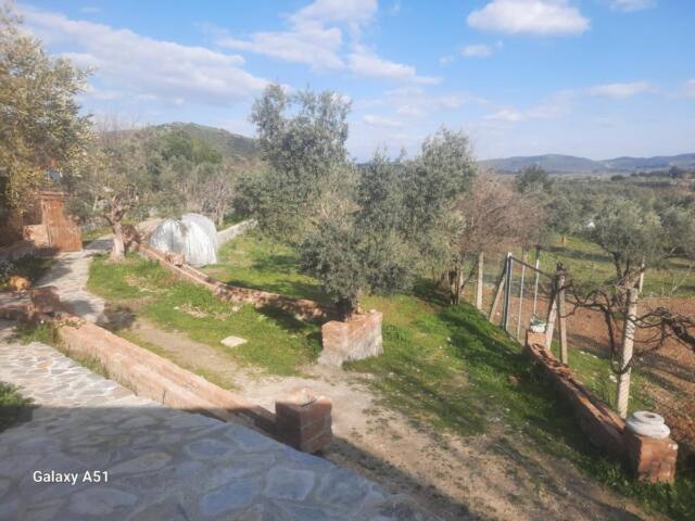 Ali dede kamp karavan bungalow