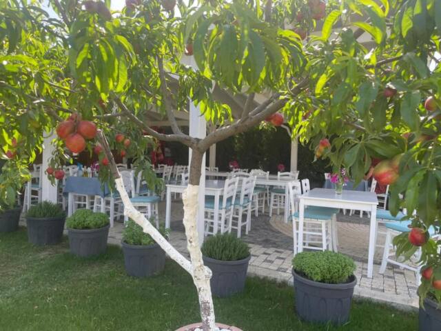 calisto17 otel