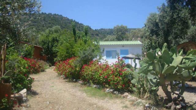 datça çiftlik apart