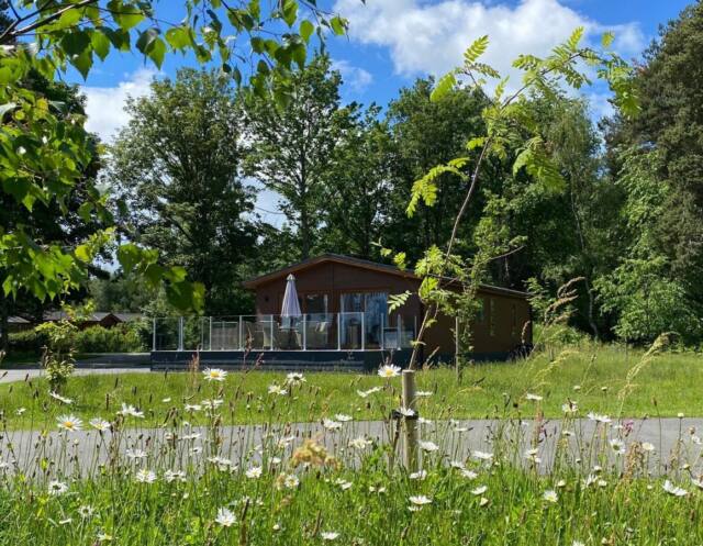 Hollicarrs – Honeycomb Lodge